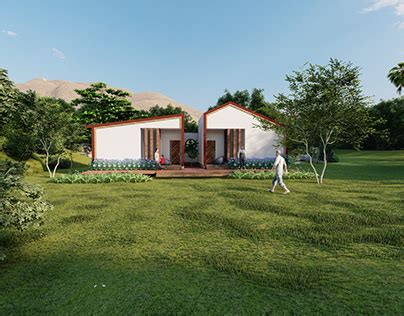 Image result for Coding Python Homestay