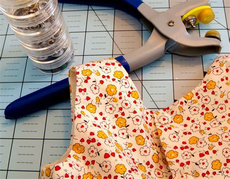 Snaps Tutorial 的图像结果