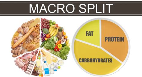 Macro Split: How the Right Protein, Carb, and Fat Ratio Transforms Your ...
