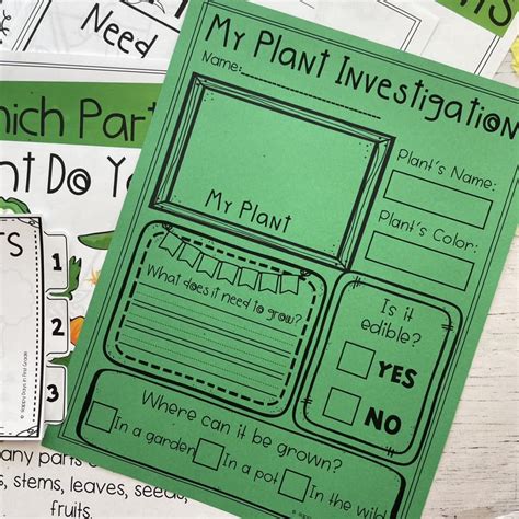 Image result for Plant Lesson First Grade