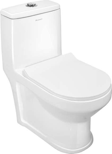 Single Piece WC (C899J46) | Parryware