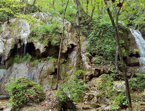 FALLS RIDGE PRESERVE - All You Need to Know BEFORE You Go 2026 (with ...