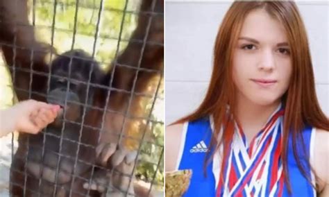 Russian boxer sparks fury after giving endangered orangutan puffs on ...