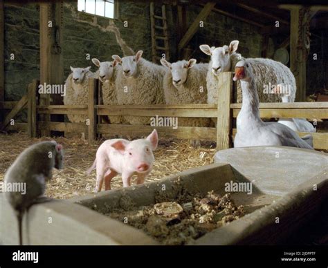 Charlottes web templeton 2006 hi-res stock photography and images - Alamy