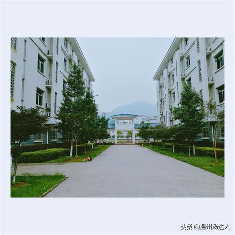 温州十大初中学校排名-温州十大初中学校排名-排行榜