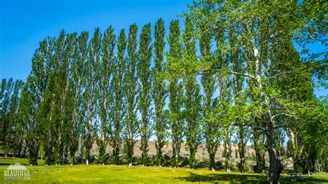 Wanapum State Park Campground