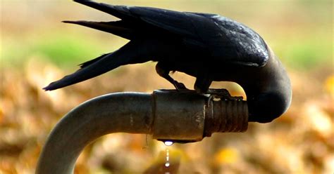 Extreme Heat Wave Grips India