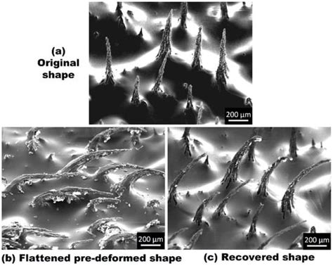 Shape Memory Effect in Micro-Sized Shape Memory Polymer Composite Chains