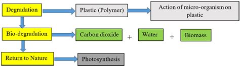 Starch-Based Biodegradable Films for Food Packaging | Encyclopedia MDPI
