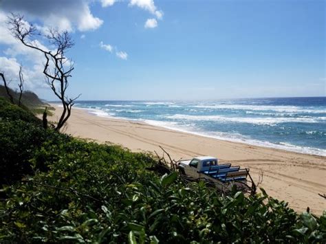 Mokarran Dive Charters (Maputaland Coastal Forest Reserve) - All You ...