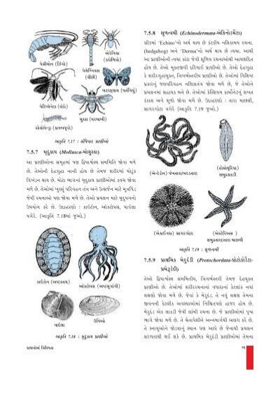 Image result for 9th Science Part 2