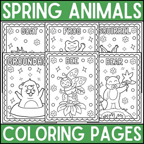Spring Animals Coloring Pages | Spring Coloring Pages | Spring Coloring ...
