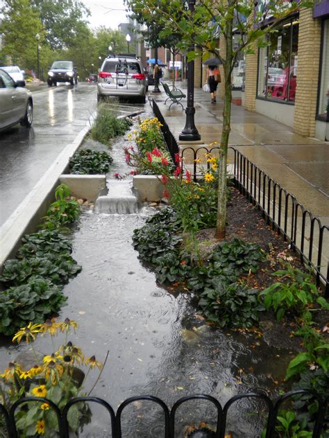 Borough of State College Government - Allen Street Rain Gardens | Rain ...