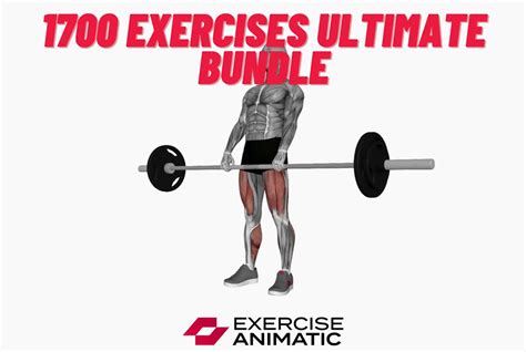 Exercise Animation 的图像结果