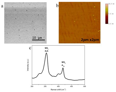 Direct van der Waals Epitaxy of Crack-Free AlN Thin Film on Epitaxial WS2