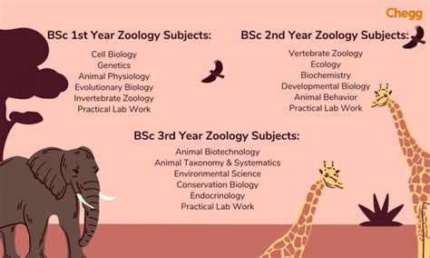 BSc Zoology: Eligibility, Exams & Promising Career Paths 2025