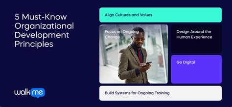 Image result for Organization development Principles