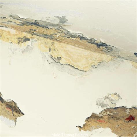 John Chavis Memorial Park: A Historic and Vibrant Urban Oasis in ...