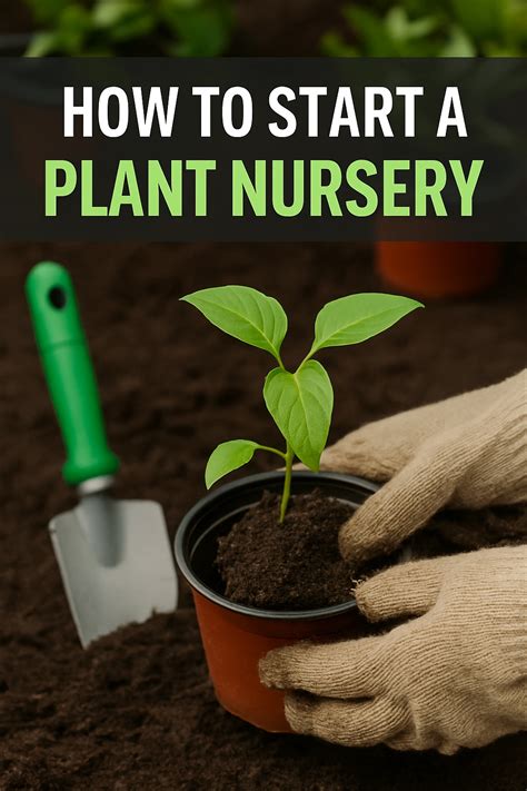 How to Start a Garden Nursery?