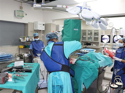 CSR | Veterinary Care by DLF Foundation