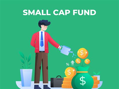 Small Cap Fund | MINTIT