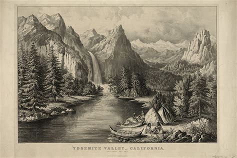 Wolves California 的图像结果