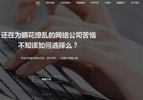 网络技术开发设计服务公司网站模板免费下载-前端模板-php中文网源码