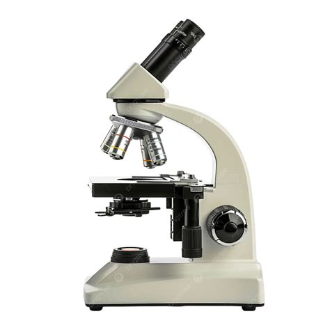 Biological Microscope 的图像结果