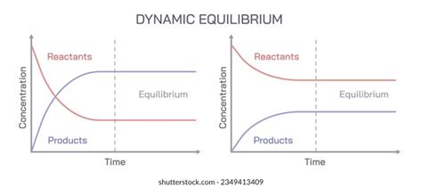 Image result for Dynamic Equilibrium Graph