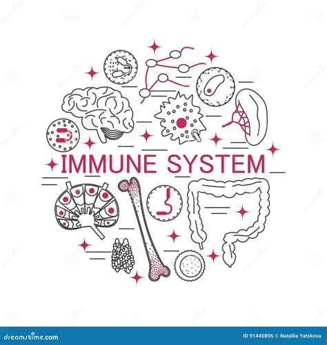Immune system icon set stock vector. Illustration of body - 91440806