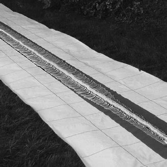 Image result for Python Skeleton