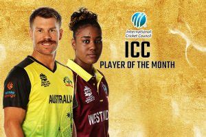 David Warner & Hayley Matthews Bags ICC Player Of The Month For November