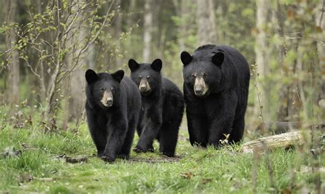 How Do You Define a Crypto Bear Market? - Coinbase Institutional Monthly Outlook