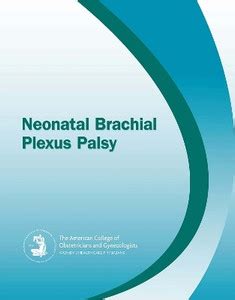 Neonatal Brachial Plexus Palsy: Buy Neonatal Brachial Plexus Palsy by ...
