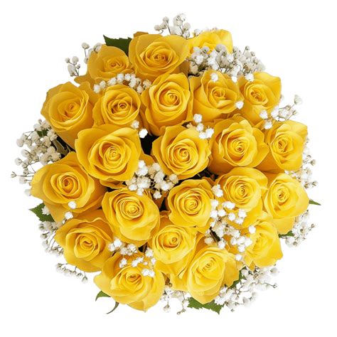 How To Make Yellow Roses at Johnny Duffy blog