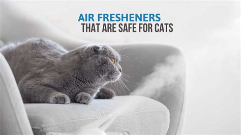 Cat Safe Air Freshener Australia at Rocio Wilds blog