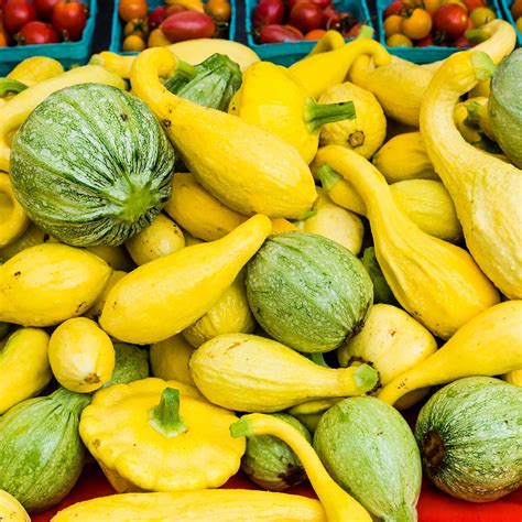 Pictures Of Different Yellow Squash at Mario Wall blog