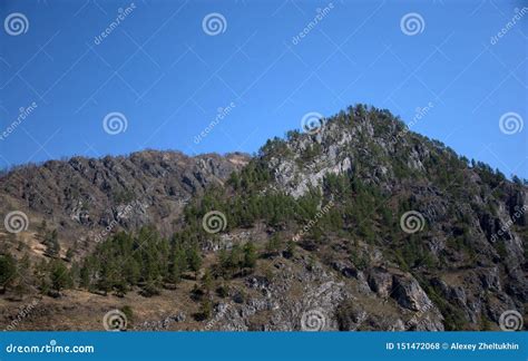 High Mountain Ranges with Sheer Cliffs, Covered with Rare Forest. Altai ...