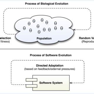 Evolution Simulation Process 的图像结果