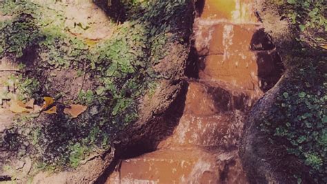 Image result for Atomic-Scale Dissolution Process