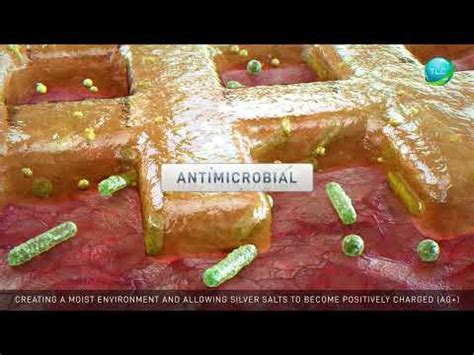 Medical Dressing Products, Dressing Products, Medical Wound Care ...