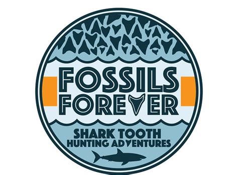Educational and fun! - Reviews, Photos - Fossils Forever - Shark Tooth ...