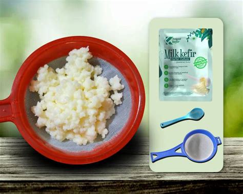 Tghh Digestive Probiotic - Buy Tghh Digestive Probiotic Online at Best ...