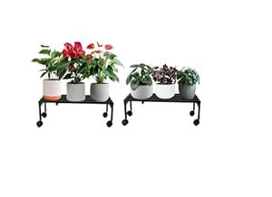 Pivalo Rectangle Plant Stand With Wheels Anti-Rust Metal Flower Pot ...