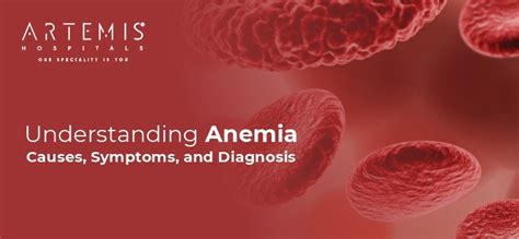 Understanding Anemia: Causes, Symptoms, and Diagnosis | Artemis Hospitals