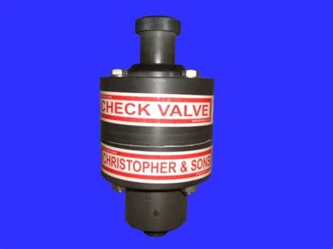 Check Valve - Chlorine Check Valve Manufacturer from Chennai
