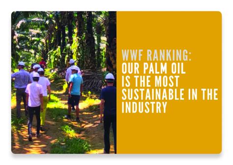 Sustainability| Palm Oil | Nutella® India