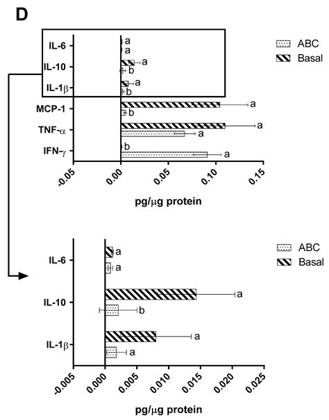 Understanding the Anti-Obesity Potential of an Avocado Oil-Rich Cheese ...