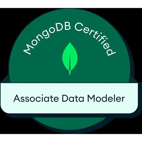 Associate Data Modeler | Certifications | Han Lin