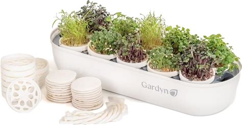 GARDYN Complete Microgreens Growing Kit - Indoor India | Ubuy